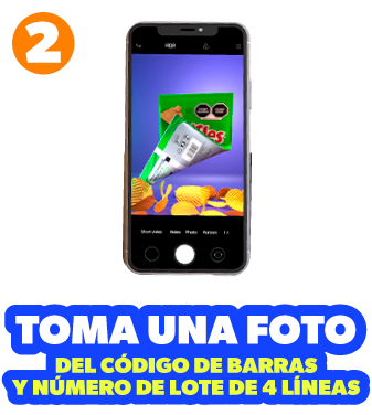 Paso 2